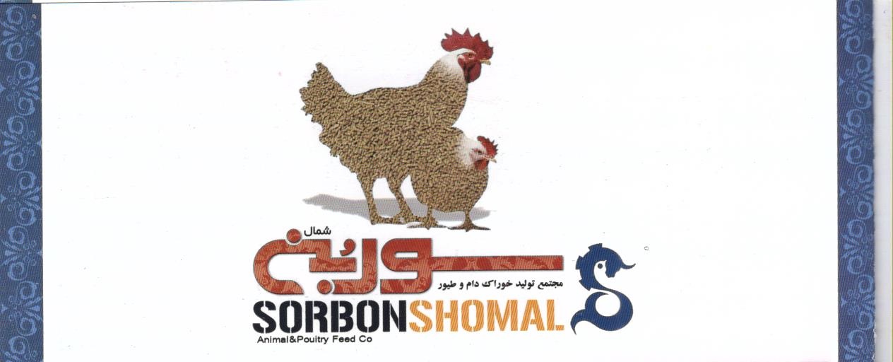 راه اندازی وب سایت